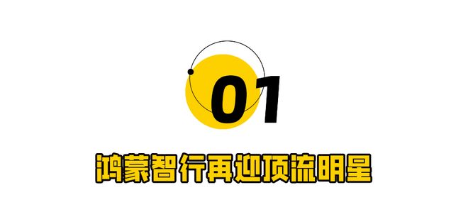 ！刘亦菲拯救华为“亲儿子”冰球突破网站“绯闻”成真(图3)